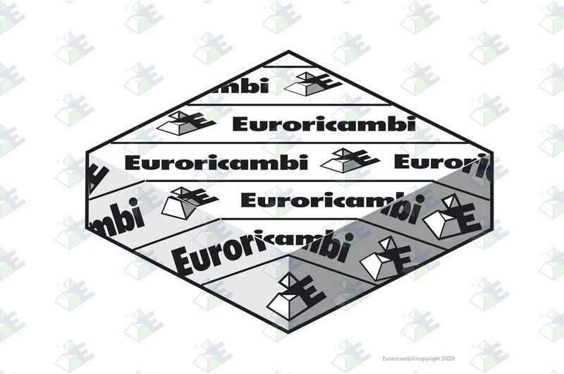 Гайка карданного вала EURORICAMBI 60171290