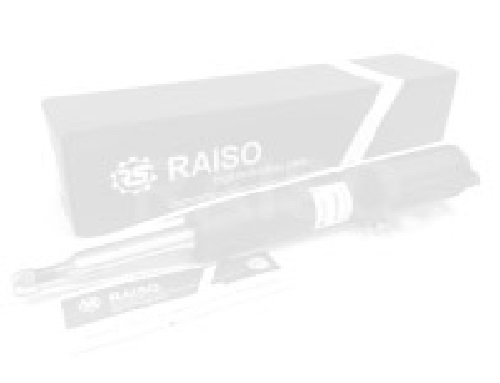 Пильник+відб. амортизатора переднього BMW 5 (F10/F18)/6 (F12) 10-18 (к-т 2 шт.) Raiso RK00336