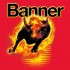 Логотип BANNER