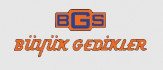 Логотип BGS