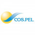 Логотип COSPEL