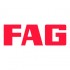 Логотип FAG