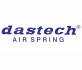 Логотип DASTECH