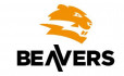 Логотип BEAVERS