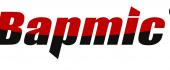 Логотип Bapmic