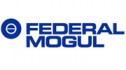 Логотип FEDERAL MOGUL