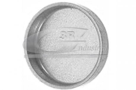 Фото автозапчастини заглушка ГБЦ 22mm 3RG Industrial 84014