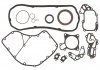 Комплект прокладок двигуна (низ) IVECO DAILY III, DAILY IV, DAILY V, MASSIF; CITROEN JUMPER; FIAT DUCATO; PEUGEOT BOXER 3.0CNG/3.0D 09.04- AJUSA 54162300 (фото 1)