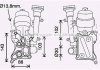 Фото автозапчастини радіатор масляний FIAT DOBLO (119, 223) (01-) 1.3 MJTD в сб. (AVA) AVA COOLING OL3686H (фото 1)