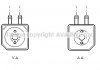 Фото автозапчасти радиатор масляный AUDI; SEAT; VW (Ava) AVA COOLING VN3086 (фото 1)