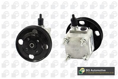 Фото автозапчасти power steering pump BGA PSP9701