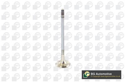 Фото автозапчастини engine valve BGA V090101