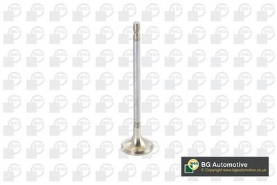 Фото автозапчасти engine valve BGA V123003