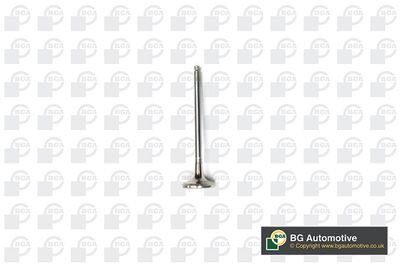 Фото автозапчасти engine valve BGA V141081