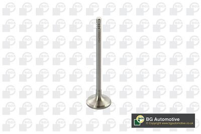 Фото автозапчастини engine valve BGA V591500