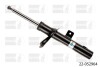 Фото автозапчасти передний амортизатор P CITROEN BERLINGO, BERLINGO/MINIVAN; PEUGEOT 206, 206+, PARTNER, PARTNER/MINIVAN 1.1-Electric 06.96- BILSTEIN 22-052964 (фото 1)