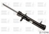 Амортизатор передний лев FORD FUSION 1.25-1.6D 08.02-12.12 BILSTEIN 22-112743 (фото 1)