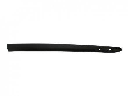 Накладка/молдинг на двери передняя правая (черный) RENAULT CLIO 5D 09.98-05.05 BLIC 5703-04-6032572P (фото 1)