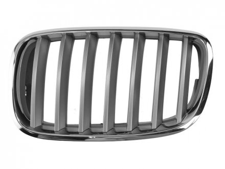 Передняя решетка левая (серебряный/хром) BMW X5 02.07-04.10 BLIC 6502-07-0096991PP (фото 1)