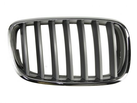 Передняя решетка правая (серебряный/хром) BMW X5 02.07-04.10 BLIC 6502-07-0096992PP (фото 1)