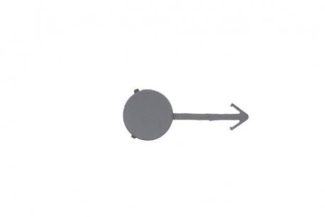 Заглушка буксировочного крюка передняя (черная) CITROEN C2 05.08-11.09 BLIC 6502-07-0511922P (фото 1)
