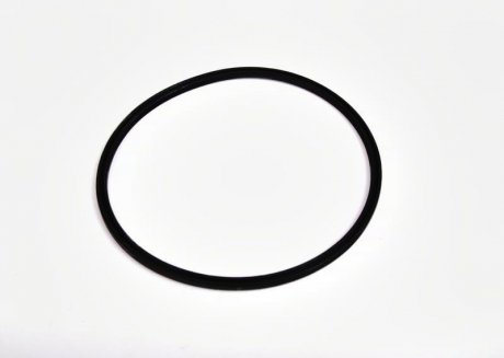Кольцо уплотнительное фильтра топливного BMW 16146750467 (фото 1)