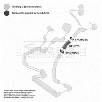 Фото автозапчастини шлангопровод BORG & BECK BTH1179