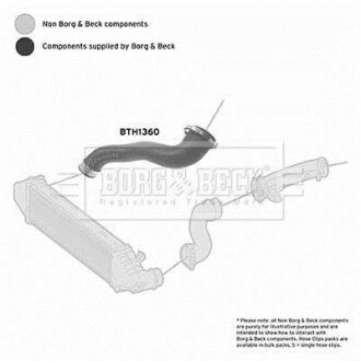 Фото автозапчасти шлангопровод BORG & BECK BTH1360