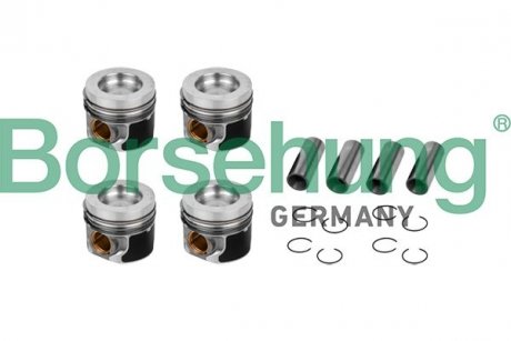 Поршень VW T5 2.0TDI (81.00mm/STD) Borsehung B11132 (фото 1)