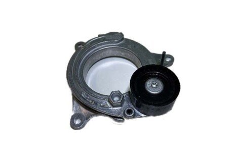 Фото автозапчасти tensioner for V-ribbed belt Borsehung B12468