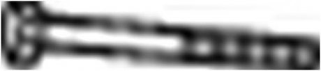 Болт вихлопної системи (M8x16) комплект 10 шт BOSAL 258-816 (фото 1)