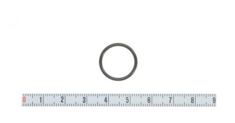 Уплотнительное кольцо BOSCH 2 430 210 088 (фото 1)