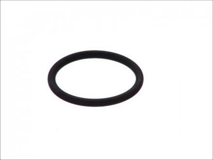 Уплотнительное кольцо RENAULT BOSCH F00HN36345 (фото 1)