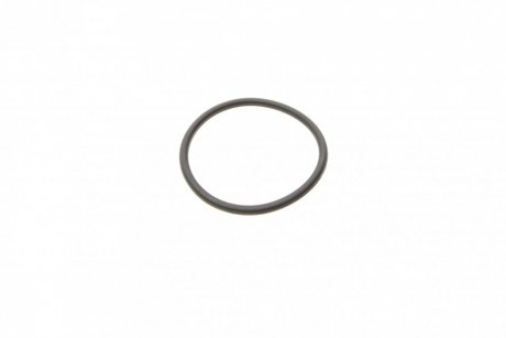 Уплотнительное кольцо BOSCH F 00R 0P0 166 (фото 1)