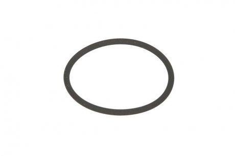 Уплотнительное кольцо форсунки (0 445 120.. ;) BOSCH F 00R J00 220