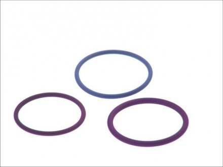 Комплект колец – уплотнительное кольцо RENAULT; VOLVO D11; D12; D13; D9; DXI VOLVO FH D13A460 BOSCH F 00V X99 998