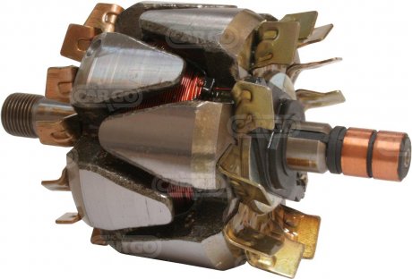 Ротор генератора CARGO 136674 (фото 1)