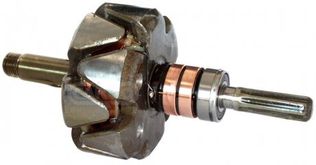 Ротор генератора CARGO 230888