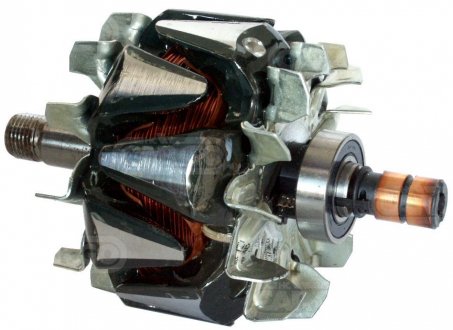 Ротор генератора CARGO 231256