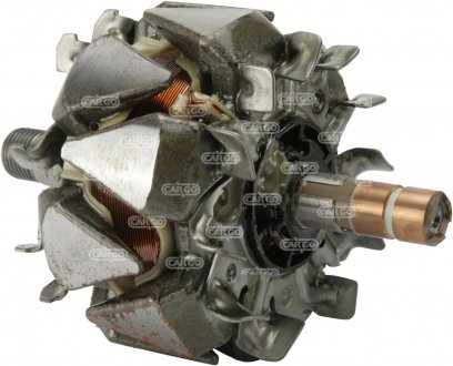 Ротор генератора CARGO 239622 (фото 1)