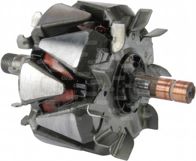 Ротор генератора CARGO 330316 (фото 1)