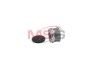 Фото автозапчасти шків генератора ZEN Opel Corsa 1.3CDTI, Fiat Doblo 1.3JTD Valeo TG8S012, TG8S013, TG9S010, TG9S015, CARGO 332311 (фото 1)