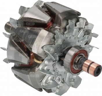 Ротор генератора CARGO 335516