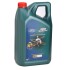 Фото автозапчасти олива 0W30 Magnatec Professional D (5L) (ACEA C2) (Ford WSS-M2C950-A) CASTROL 15F60C (фото 1)