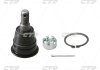 Шарова опора ліва/права (нижній) (16,9mm) NISSAN MAXIMA / MAXIMA QX IV 2.0/2.5/3.0 01.95-08.00 CTR CBN-54 (фото 2)