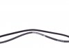 Поліклиновий ремінь RENAULT CLIO II, KANGOO, KANGOO EXPRESS 1.4/1.6 08.97- DAYCO 3PK1040 (фото 4)
