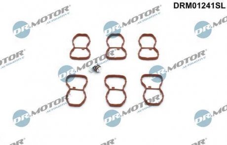 Комплект прокладок гумових DR MOTOR DRM01241SL (фото 1)