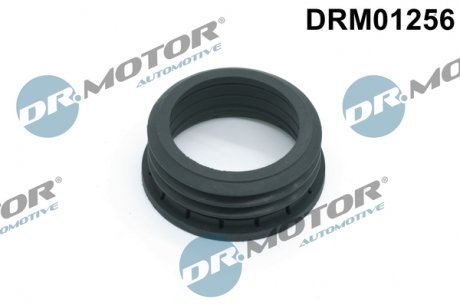 Патрубок повітряного фільтра DR MOTOR DRM01256 (фото 1)