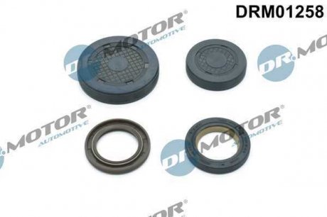 Комплект сальників гумових DR MOTOR DRM01258