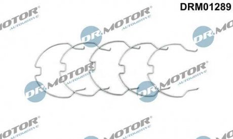 Комплект хомутів металевих DR MOTOR DRM01289 (фото 1)